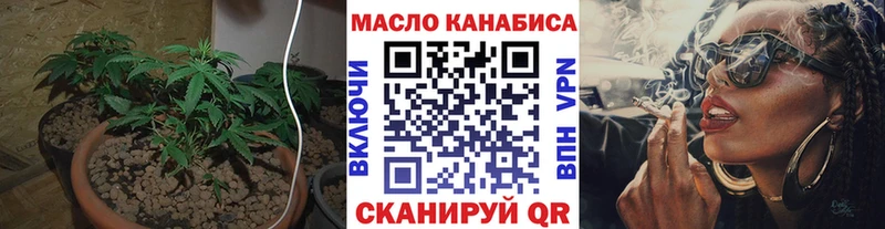 Купить  Собинка  ТГК концентрат 